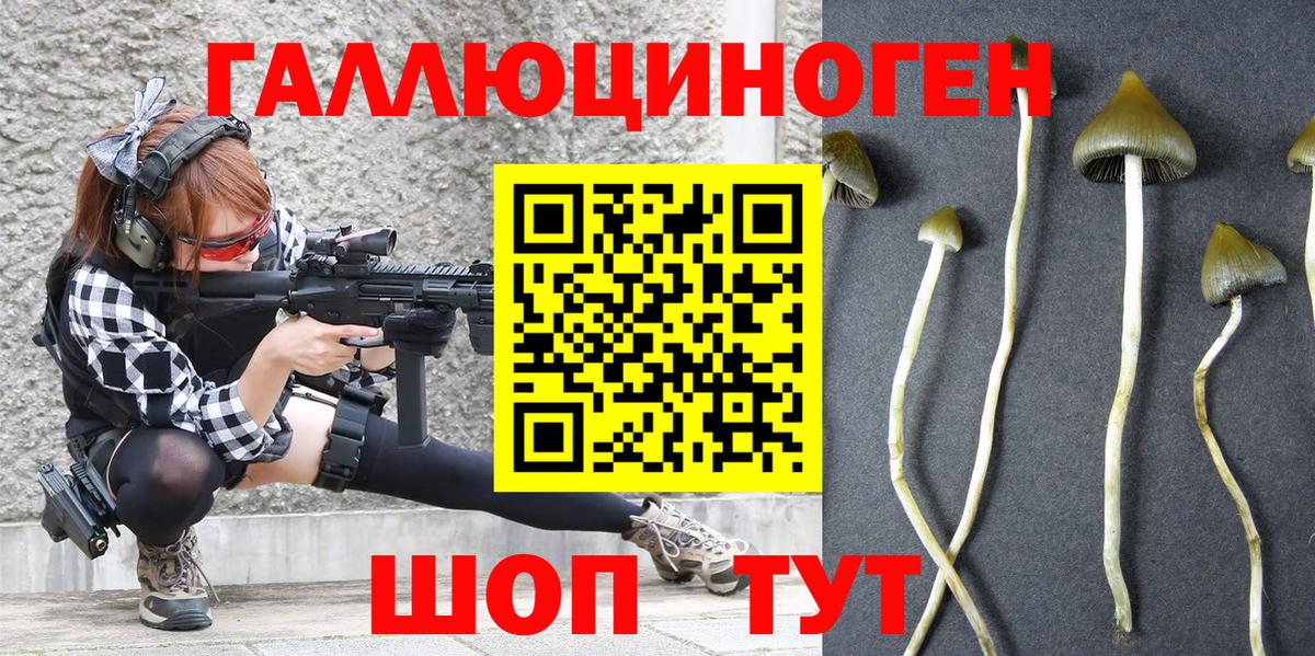 Галлюциногенные грибы мухоморы Ухта